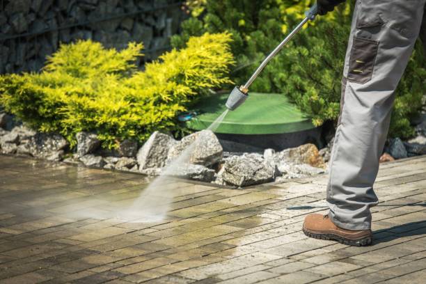 Best Building Exterior Washing  in Bithlo, FL