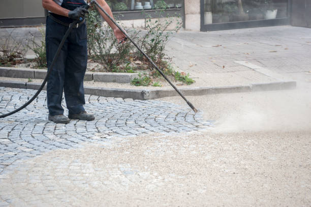 Best Patio and Deck Pressure Washing  in Bithlo, FL