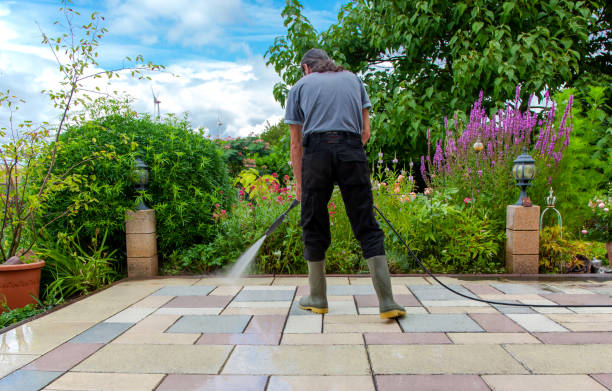 Best Sidewalk and Walkway Cleaning  in Bithlo, FL